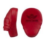 Focus Mitts
